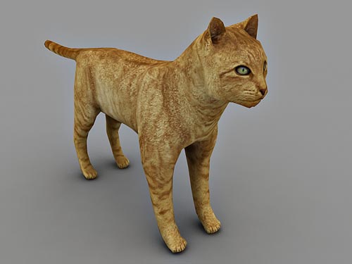 A superb Collection of animal 3D  modeling Images 
